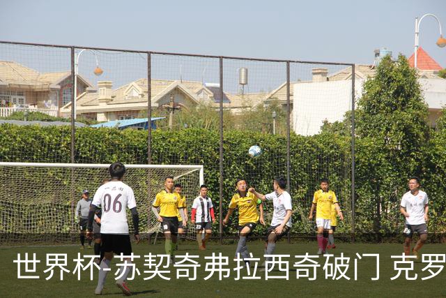 世界杯-苏契奇弗拉西奇破门 克罗地亚2-1加纳小组第二