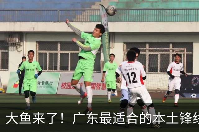 大鱼来了！广东最适合的本土锋线曝光，朱芳雨可能完成“2换1”？